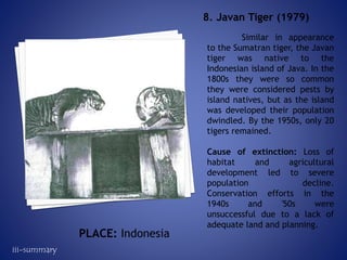 Similar in appearance
to the Sumatran tiger, the Javan
tiger was native to the
Indonesian island of Java. In the
1800s they were so common
they were considered pests by
island natives, but as the island
was developed their population
dwindled. By the 1950s, only 20
tigers remained.
Cause of extinction: Loss of
habitat and agricultural
development led to severe
population decline.
Conservation efforts in the
1940s and '50s were
unsuccessful due to a lack of
adequate land and planning.
8. Javan Tiger (1979)
PLACE: Indonesia
iii-summary
 