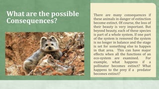 Species Extinction- Reasons and Effects? | PPTX