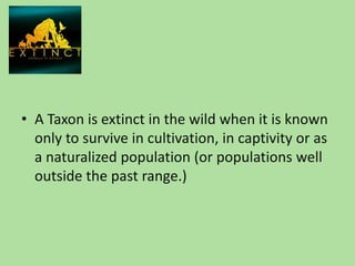 A Taxon is extinct in the wild when it is known only to survive in cultivation, in captivity or as a naturalized population (or populations well outside the past range.)