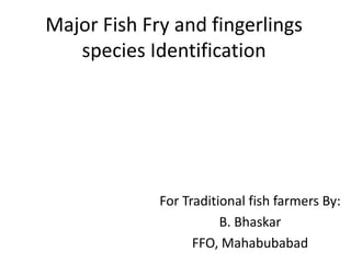 Major Fish Fry and fingerlings
species Identification
For Traditional fish farmers By:
B. Bhaskar
FFO, Mahabubabad
 