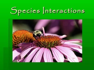 Species InteractionsSpecies Interactions
 