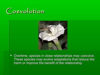 Species Interactions | PPT