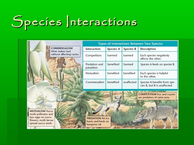 Species Interactions Ppt