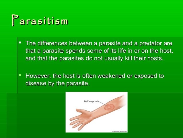 difference between predator prey and parasite host