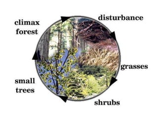 Species interactions