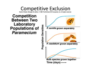 Competitive Exclusion
 