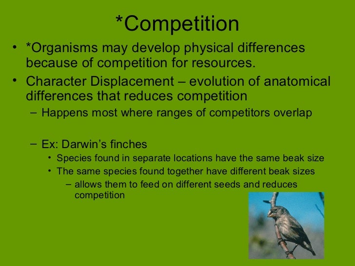 Competition and Non Competition and Its Relationship