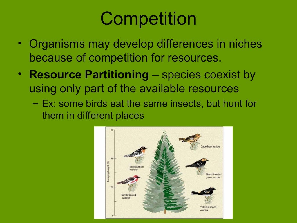3 types of symbiotic relationships in an ecosystem