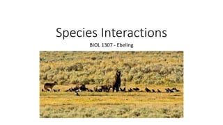 Species Interactions
BIOL 1307 - Ebeling
 