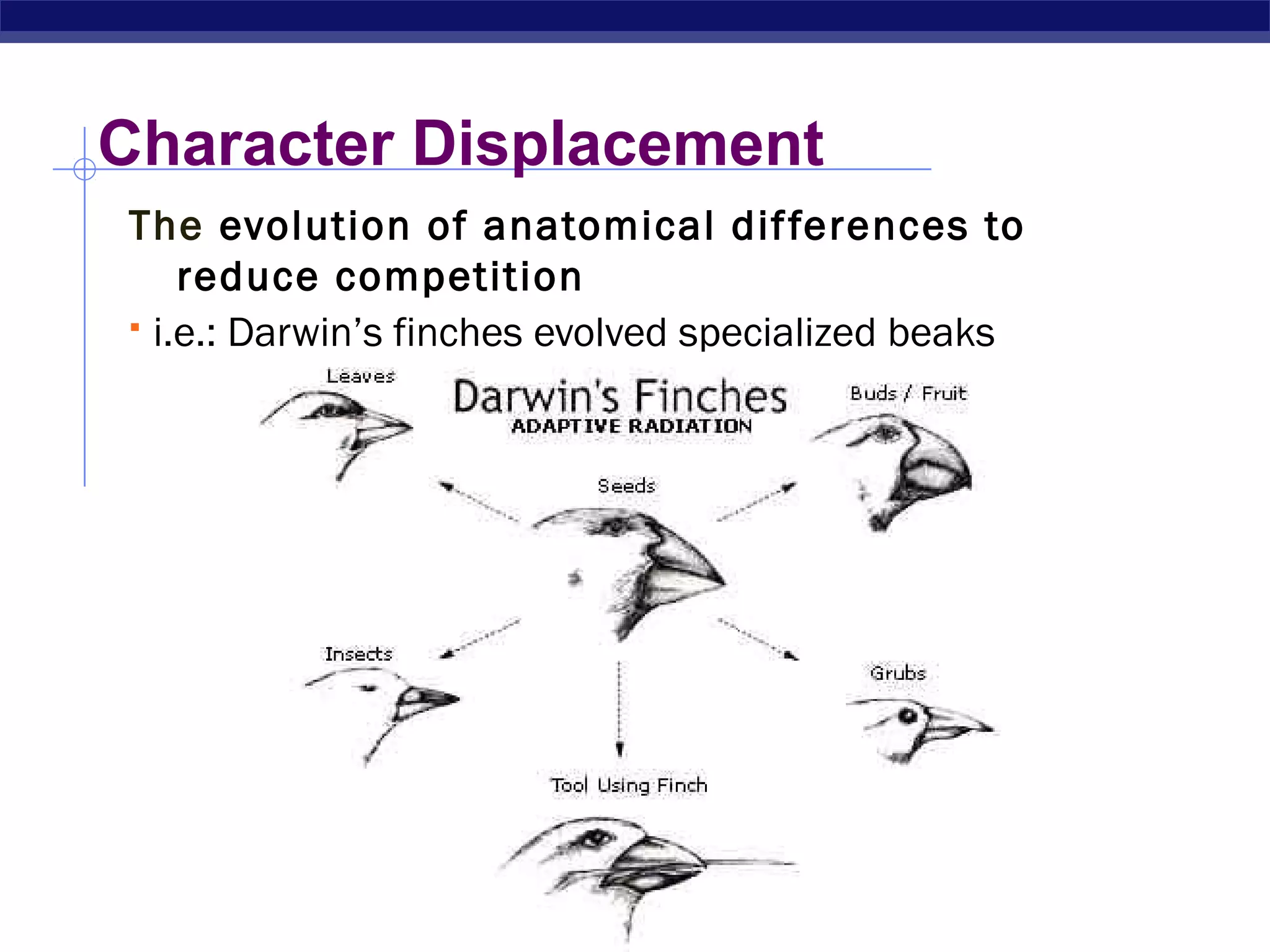 AP Biology
Character Displacement
The evolution of anatomical differences to
reduce competition
 i.e.: Darwin’s finches evolved specialized beaks
 