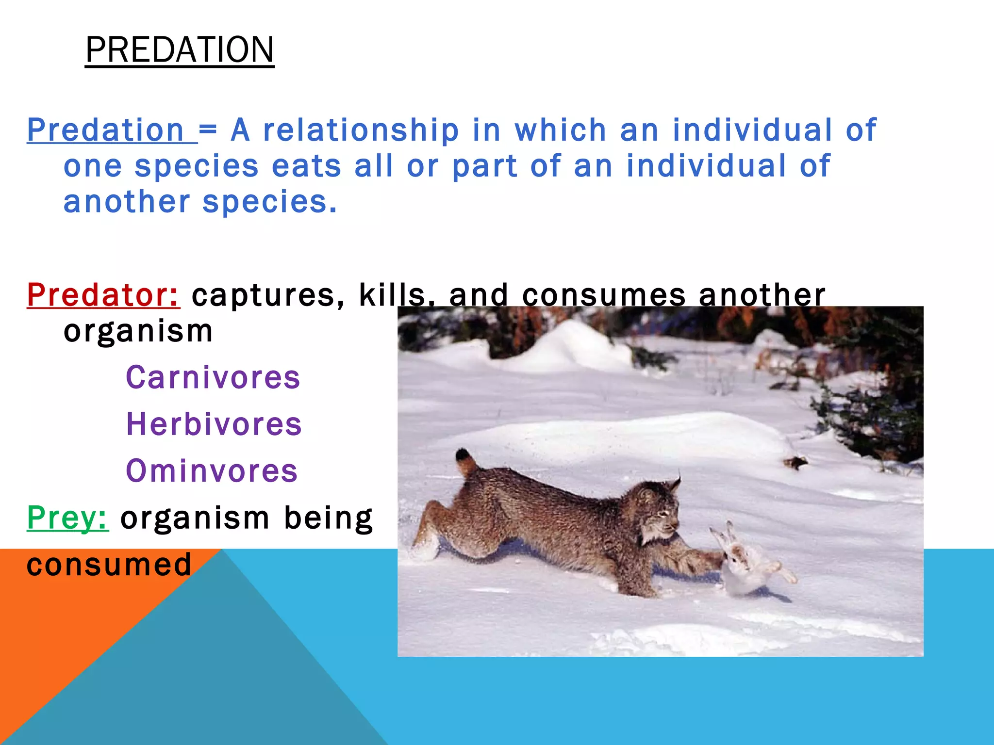 PREDATION
Predation = A relationship in which an individual of
one species eats all or part of an individual of
another species.
Predator: captures, kills, and consumes another
organism
Carnivores
Herbivores
Ominvores
Prey: organism being
consumed
 