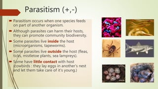 Parasitism (+,-)
 Parasitism occurs when one species feeds
on part of another organism.
 Although parasites can harm their hosts,
they can promote community biodiversity.
 Some parasites live inside the host
(microorganisms, tapeworms).
 Some parasites live outside the host (fleas,
ticks, mistletoe plants, sea lampreys).
 Some have little contact with host
(cowbirds : they lay eggs in another’s nest
and let them take care of it’s young.)
 