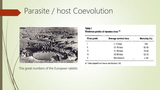 The great numbers of the European rabbits
Parasite / host Coevolution
 