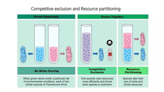Competitive exclusion and Resource partitioning
 