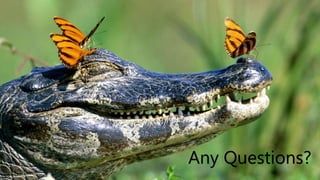 Any Questions?
 