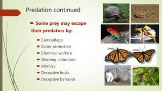 Predation continued
 Some prey may escape
their predators by:
 Camouflage
 Outer protection
 Chemical warfare
 Warning coloration
 Mimicry
 Deceptive looks
 Deceptive behavior
 