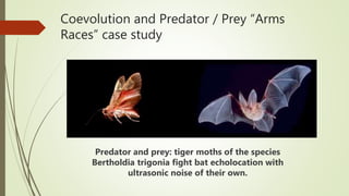 Coevolution and Predator / Prey “Arms
Races” case study
Predator and prey: tiger moths of the species
Bertholdia trigonia fight bat echolocation with
ultrasonic noise of their own.
 