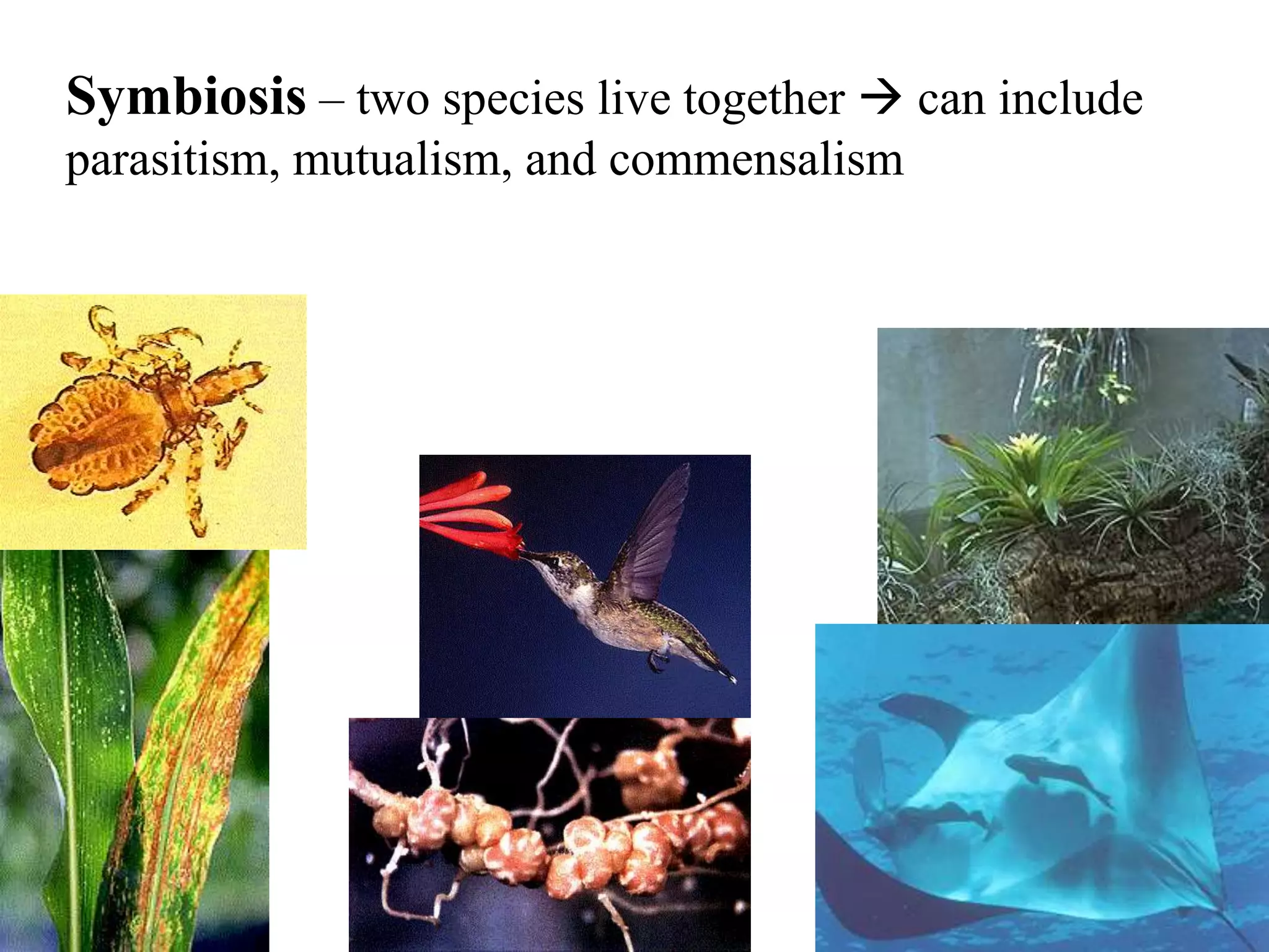 Symbiosis – two species live together  can include
parasitism, mutualism, and commensalism

 