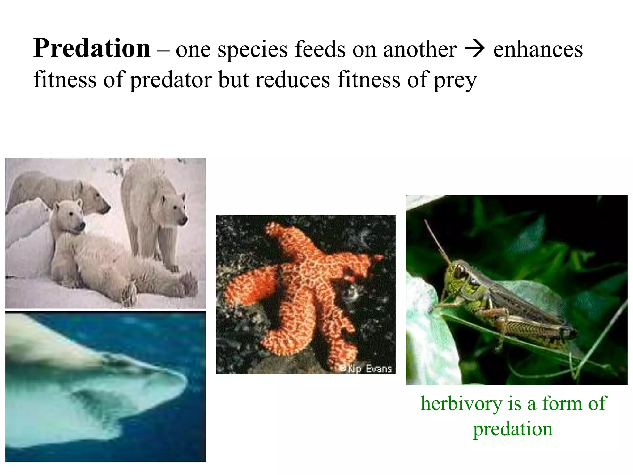 Predation – one species feeds on another  enhances
fitness of predator but reduces fitness of prey

herbivory is a form of
predation

 