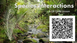 Species Interactions
– A QR Code Lesson
 