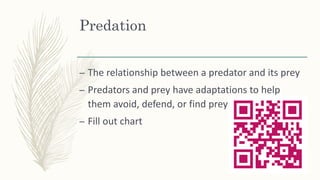 Predation
– The relationship between a predator and its prey
– Predators and prey have adaptations to help
them avoid, defend, or find prey
– Fill out chart
