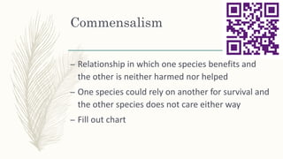 Commensalism
– Relationship in which one species benefits and
the other is neither harmed nor helped
– One species could rely on another for survival and
the other species does not care either way
– Fill out chart