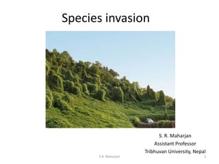 Species invasion
S. R. Maharjan
Assistant Professor
Tribhuvan University, Nepal
1S.R. Maharjan
 