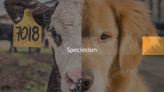 Speciesism
 