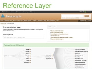 Reference Layer
 