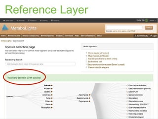Reference Layer
 