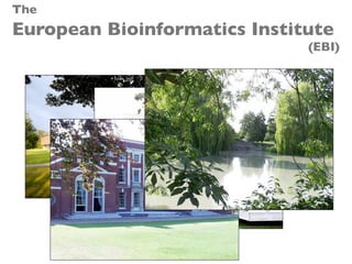 The
European Bioinformatics Institute
(EBI)
 