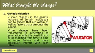 1. Genetic Mutation
 some changes in the genetic
make-up of certain individuals
due to factors that are within as
well as factors that surrounds the
subject.
 the change have been
transmitted to generation to
generation with the possibility of
being modified from time to time
as more factors and more
individuals interact with each
other.
What brought the change?
MLBibat2020 18
 