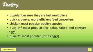 Poultry
• popular because they are fast multipliers
• quick growers, more efficient feed converters
• chicken most popular poultry species
• duck 2nd most popular (for balut, salted and century
eggs)
• quail 3rd most popular (for its eggs)
MLBibat2020 2
 