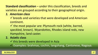 Chicken Classification Species of POULTRY | PDF