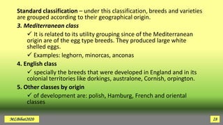 Chicken Classification Species of POULTRY | PDF
