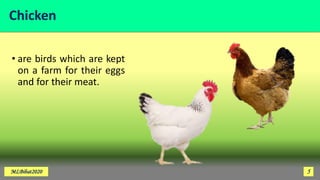 Chicken
• are birds which are kept
on a farm for their eggs
and for their meat.
MLBibat2020 5
 
