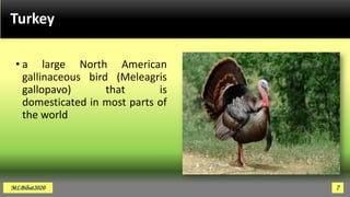 Turkey
• a large North American
gallinaceous bird (Meleagris
gallopavo) that is
domesticated in most parts of
the world
MLBibat2020 7
 