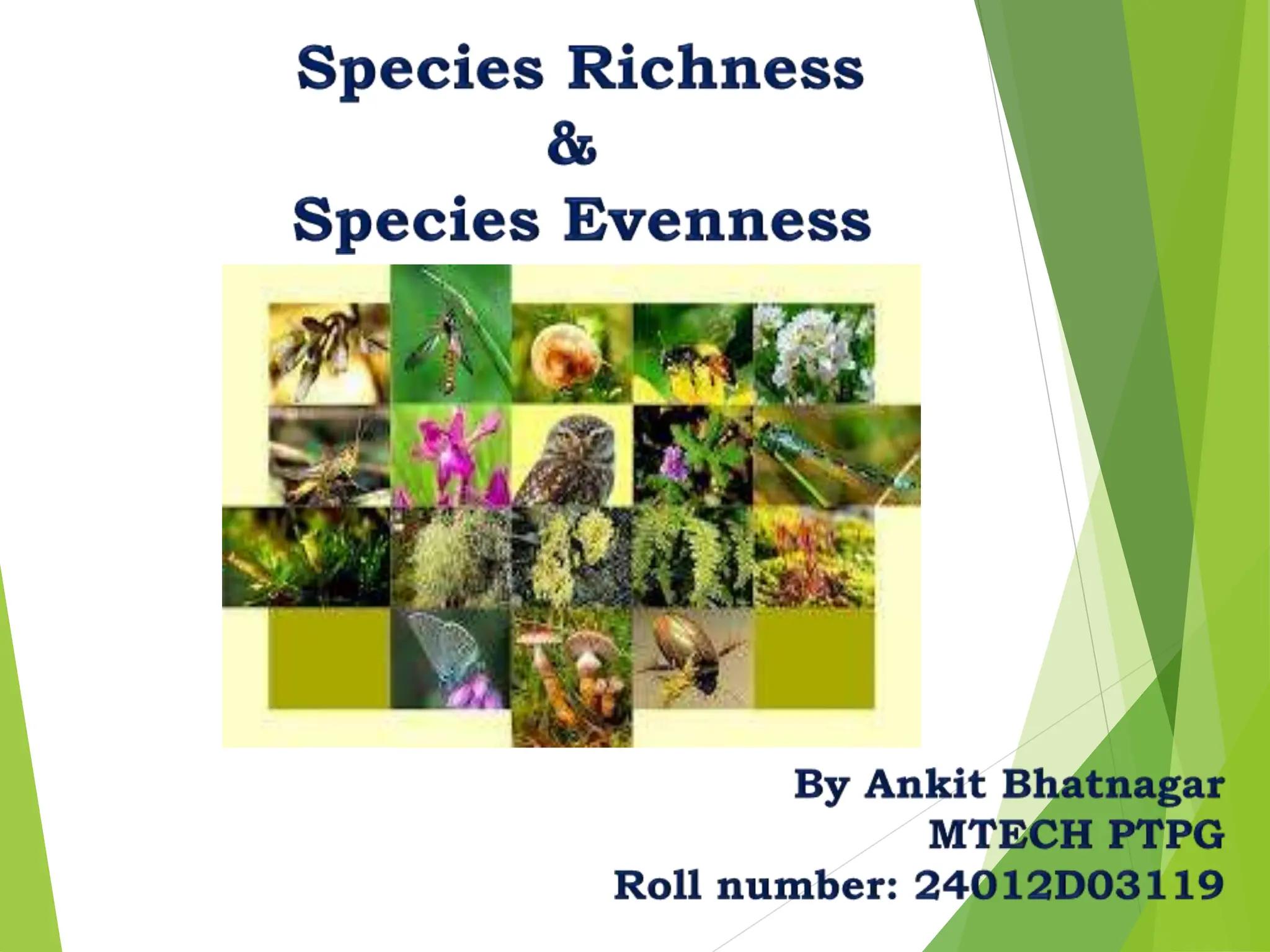 Species Richness and Evenness power point presentation of microbiology ...