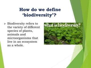 Species Richness and Evenness power point presentation of microbiology ...