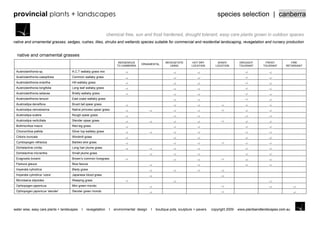 provincial plants + landscapes                                                                                                         species selection | canberra

                                                                chemical free, sun and frost hardened, drought tolerant, easy care plants grown in outdoor spaces
native and ornamental grasses, sedges, rushes, lilies, shrubs and wetlands species suitable for commercial and residential landscaping, revegetation and nursery production


  native and ornamental grasses
                                                                       INDIGENOUS                     REVEGETATE        HOT DRY        SHADY          DROUGHT       FROST          FIRE
                                                                                     ORNAMENTAL
                                                                      TO CANBERRA                        USING         LOCATION       LOCATION        TOLERANT     TOLERANT     RETARDANT

 Austrodanthonia sp.                 A.C.T wallaby grass mix
 Austrodanthonia caespitosa          Common wallaby grass
 Austrodanthonia eriantha            Hill wallaby grass
 Austrodanthonia longifolia          Long leaf wallaby grass
 Austrodanthonia setacea             Bristly wallaby grass
 Austrodanthonia tenuoir             East coast wallaby grass
 Austrostipa densiflora              Brush tail spear grass
 Austrostipa ramosissima             Native princess spear grass
 Austrostipa scabra                  Rough spear grass
 Austrostipa verticillata            Slender spear grass
 Bothriochloa macra                  Red leg grass
 Chionochloa pallida                 Silver top wallaby grass
 Chloris truncata                    Windmill grass
 Cymbopogen refractus                Barbed wire grass
 Dichelachne crinita                 Long hair plume grass
 Dichelachne micrantha               Small plume grass
 Eragrostis brownii                  Brown‟s common lovegrass
 Festuca glauca                      Blue fescue
 Imperata cylindrica                 Blady grass
 Imperata cylindrica „rubra‟         Japanese blood grass
 Microlaena stipoides                Weeping grass
 Ophiopogen japonicus                Mini green mondo
 Ophiopogen japonicus „slender‟      Slender green mondo




water wise, easy care plants + landscapes   I   revegetation     I   environmental design   I   boutique pots, sculpture + pavers   copyright 2009   www.plantsandlandscapes.com.au
 