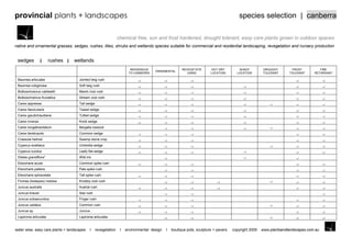 provincial plants + landscapes                                                                                                          species selection | canberra

                                                                 chemical free, sun and frost hardened, drought tolerant, easy care plants grown in outdoor spaces
native and ornamental grasses, sedges, rushes, lilies, shrubs and wetlands species suitable for commercial and residential landscaping, revegetation and nursery production


 sedges                 rushes    wetlands
                                                                        INDIGENOUS                     REVEGETATE        HOT DRY        SHADY         DROUGHT        FROST          FIRE
                                                                                      ORNAMENTAL
                                                                       TO CANBERRA                        USING         LOCATION       LOCATION       TOLERANT      TOLERANT     RETARDANT

 Baumea articulata                   Jointed twig rush
 Baumea rubiginosa                   Soft twig rush
 Bolboschoenus caldwellii            Marsh club rush
 Bolboschoenus fluviatilus           Stream club rush
 Carex appressa                      Tall sedge
 Carex fascicularis                  Tassel sedge
 Carex gaudichaudiana                Tufted sedge
 Carex inversa                       Knob sedge
 Carex longabractiatum               Bergalia tussock
 Carex tereticaulis                  Common sedge
 Crassula helmsii                    Swamp stone crop
 Cyperus exaltatus                   Umbrella sedge
 Cyperus lucidus                     Leafy flat sedge
 Dietes grandiflora*                 Wild iris
 Eleocharis acuta                    Common spike rush
 Eleocharis pallens                  Pale spike rush
 Eleocharis sphacelata               Tall spike rush
 Ficinea (Isolepsis) nodosa          Knobby club rush
 Juncus australis                    Austral rush
 Juncus krausii                      Sea rush
 Juncus subsecundus                  Finger rush
 Juncus usitatus                     Common rush
 Juncus sp.                          Juncus
 Lepironia articulata                Lepironia articulata


water wise, easy care plants + landscapes    I    revegetation    I   environmental design   I   boutique pots, sculpture + pavers   copyright 2009   www.plantsandlandscapes.com.au
 