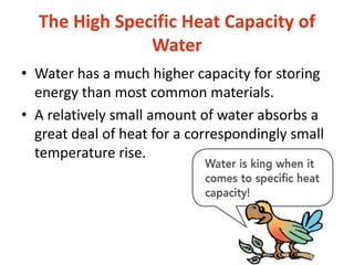 The High Specific Heat Capacity of
Water
• Water has a much higher capacity for storing
energy than most common materials.
• A relatively small amount of water absorbs a
great deal of heat for a correspondingly small
temperature rise.
 