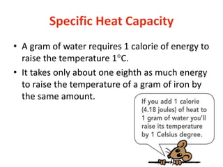 Specific Heat Capacity
• A gram of water requires 1 calorie of energy to
raise the temperature 1°C.
• It takes only about one eighth as much energy
to raise the temperature of a gram of iron by
the same amount.
 