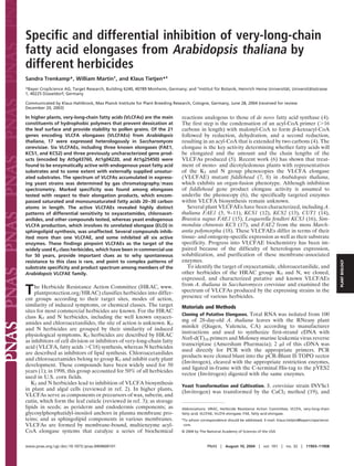 Specific and differential inhibition of very-long-chain
fatty acid elongases from Arabidopsis thaliana by
different herbicides
Sandra Trenkamp*, William Martin†, and Klaus Tietjen*‡
*Bayer CropScience AG, Target Research, Building 6240, 40789 Monheim, Germany; and †Institut fur Botanik, Heinrich Heine Universitat, Universitatsstrasse
¨
¨
¨
1, 40225 Dusseldorf, Germany
¨

In higher plants, very-long-chain fatty acids (VLCFAs) are the main
constituents of hydrophobic polymers that prevent dessication at
the leaf surface and provide stability to pollen grains. Of the 21
genes encoding VLCFA elongases (VLCFAEs) from Arabidopsis
thaliana, 17 were expressed heterologously in Saccharomyces
cerevisiae. Six VLCFAEs, including three known elongases (FAE1,
KCS1, and KCS2) and three previously uncharacterized gene products (encoded by At5g43760, At1g04220, and At1g25450) were
found to be enzymatically active with endogenous yeast fatty acid
substrates and to some extent with externally supplied unsaturated substrates. The spectrum of VLCFAs accumulated in expressing yeast strains was determined by gas chromatography͞mass
spectrometry. Marked speciﬁcity was found among elongases
tested with respect to their elongation products, which encompassed saturated and monounsaturated fatty acids 20 –30 carbon
atoms in length. The active VLCFAEs revealed highly distinct
patterns of differential sensitivity to oxyacetamides, chloroacetanilides, and other compounds tested, whereas yeast endogenous
VLCFA production, which involves its unrelated elongase (ELO) in
sphingolipid synthesis, was unaffected. Several compounds inhibited more than one VLCFAE, and some inhibited all six active
enzymes. These ﬁndings pinpoint VLCFAEs as the target of the
widely used K3 class herbicides, which have been in commercial use
for 50 years, provide important clues as to why spontaneous
resistance to this class is rare, and point to complex patterns of
substrate speciﬁcity and product spectrum among members of the
Arabidopsis VLCFAE family.

T

he Herbicide Resistance Action Committee (HRAC, www.
plantprotection.org͞HRAC) classifies herbicides into different groups according to their target sites, modes of action,
similarity of induced symptoms, or chemical classes. The target
sites for most commercial herbicides are known. For the HRAC
class K3 and N herbicides, including the well known oxyacetamides and chloroacetanilides, the site of action is unknown. K3
and N herbicides are grouped by their similarity of induced
physiological symptoms. K3 herbicides are described by HRAC
as inhibitors of cell division or inhibitors of very-long-chain fatty
acid (VLCFA, fatty acids ϾC18) synthesis, whereas N herbicides
are described as inhibitors of lipid synthesis. Chloroacetanilides
and chloroacetamides belong to group K3 and inhibit early plant
development. These compounds have been widely used for 50
years (1); in 1998, this group accounted for 50% of all herbicides
used in U.S. corn fields.
K3 and N herbicides lead to inhibition of VLCFA biosynthesis
in plant and algal cells (reviewed in ref. 2). In higher plants,
VLCFAs serve as components or precursors of wax, suberin, and
cutin, which form the leaf cuticle (reviewed in ref. 3); as storage
lipids in seeds; as periderm and endodermis components; as
glycosylphosphatidyl-inositol anchors in plasma membrane proteins; and as sphingolipid components in various membranes.
VLCFAs are formed by membrane-bound, multienzyme acylCoA elongase systems that catalyze a series of biochemical
www.pnas.org͞cgi͞doi͞10.1073͞pnas.0404600101

reactions analogous to those of de novo fatty acid synthase (4).
The first step is the condensation of an acyl-CoA primer (Ͼ16
carbons in length) with malonyl-CoA to form ␤-ketoacyl-CoA
followed by reduction, dehydration, and a second reduction,
resulting in an acyl-CoA that is extended by two carbons (4). The
elongase is the key activity determining whether fatty acids will
be elongated and the amount and the chain lengths of the
VLCFAs produced (5). Recent work (6) has shown that treatment of mono- and dicotyledonous plants with representatives
of the K3 and N group phenocopies the VLCFA elongase
(VLCFAE) mutant fiddlehead (7, 8) in Arabidopsis thaliana,
which exhibits an organ-fusion phenotype. Although inhibition
of fiddlehead gene product elongase activity is assumed to
underlie the phenocopy (6), the specifically targeted enzymes
within VLCFA biosynthesis remain unknown.
Several plant VLCFAEs have been characterized, including A.
thaliana FAE1 (5, 9–11), KCS1 (12), KCS2 (13), CUT1 (14),
Brassica napus FAE1 (15), Lesquerella fendleri KCS3 (16), Simmondsia chinensis KCS (17), and FAE2 from the moss Marchantia polymorpha (18). These VLCFAEs differ in terms of their
tissue- and ontogeny-specific expression as well as their substrate
specificity. Progress into VLCFAE biochemistry has been impaired because of the difficulty of heterologous expression,
solubilization, and purification of these membrane-associated
enzymes.
To identify the target of oxyacetamide, chloroacetanilide, and
other herbicides of the HRAC groups K3 and N, we cloned,
expressed, and characterized putative and known VLCFAEs
from A. thaliana in Saccharomyces cerevisiae and examined the
spectrum of VLCFAs produced by the expressing strains in the
presence of various herbicides.
Materials and Methods
Cloning of Putative Elongases. Total RNA was isolated from 100

mg of 28-day-old A. thaliana leaves with the RNeasy plant
minikit (Qiagen, Valencia, CA) according to manufacturer
instructions and used to synthesize first-strand cDNA with
NotI-d(T)18 primers and Moloney murine leukemia virus reverse
transcriptase (Amersham Pharmacia); 2 ␮l of this cDNA was
used directly for PCR with the appropriate primers. PCR
products were cloned blunt into the pCR-Blunt II-TOPO vector
(Invitrogen), cleaved with the appropriate restriction enzymes,
and ligated in-frame with the C-terminal His-tag to the pYES2
vector (Invitrogen) digested with the same enzymes.
Yeast Transformation and Cultivation. S. cerevisiae strain INVSc1

(Invitrogen) was transformed by the CaCl2 method (19), and

Abbreviations: HRAC, Herbicide Resistance Action Committee; VLCFA, very-long-chain
fatty acid; VLCFAE, VLCFA elongase; FAE, fatty acid elongase.
‡To

whom correspondence should be addressed. E-mail: klaus.tietjen@bayercropscience.
com.

© 2004 by The National Academy of Sciences of the USA

PNAS ͉ August 10, 2004 ͉ vol. 101 ͉ no. 32 ͉ 11903–11908

PLANT BIOLOGY

Communicated by Klaus Hahlbrock, Max Planck Institute for Plant Breeding Research, Cologne, Germany, June 28, 2004 (received for review
December 20, 2003)

 