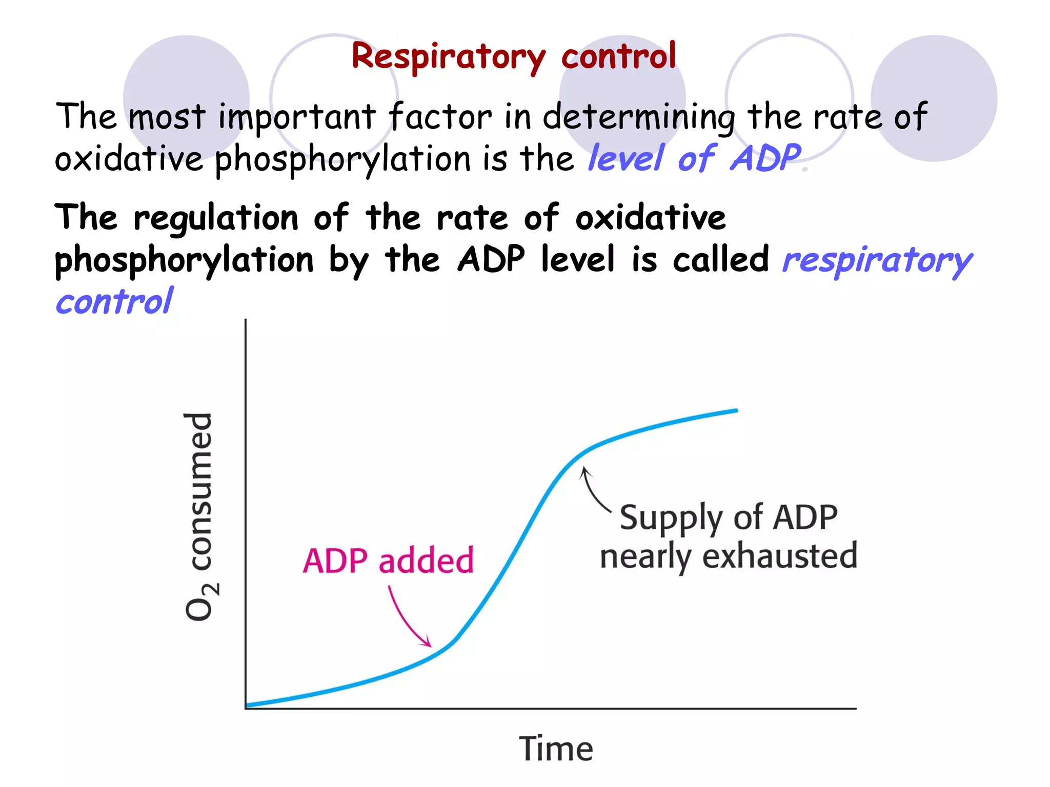 Respiratory control
The most important factor in determining the rate of
oxidative phosphorylation is the level of ADP.
The regulation of the rate of oxidative
phosphorylation by the ADP level is called respiratory
control

 