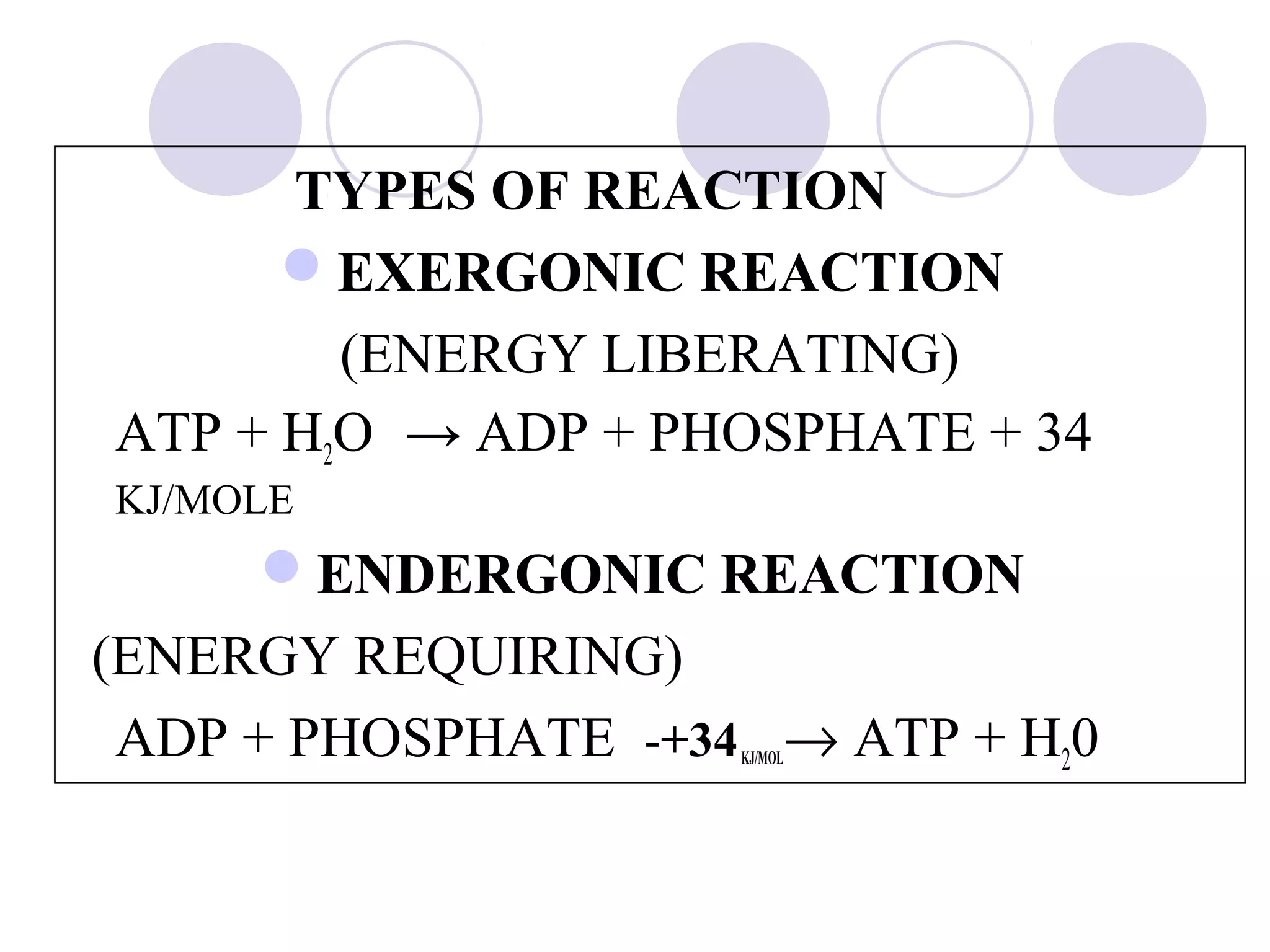 TYPES OF REACTION
EXERGONIC REACTION
(ENERGY LIBERATING)
ATP + H2O → ADP + PHOSPHATE + 34
KJ/MOLE

ENDERGONIC REACTION
(ENERGY REQUIRING)
ADP + PHOSPHATE -+34 → ATP + H20
KJ/MOL

 