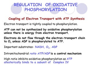 REGULATION OF OXIDATIVE
PHOSPHORYLATION
Coupling of Electron Transport with ATP Synthesis
Electron transport is tightly coupled to phosphorylation.
ATP can not be synthesized by oxidative phosphorylation
unless there is energy from electron transport.
Electrons do not flow through the electron-transport chain
to O2 unless ADP is phosphorylated to ATP.
Important substrates: NADH, O2, ADP
Intramitochondrial ratio ATP/ADP is a control mechanism
High ratio inhibits oxidative phosphorylation as ATP
allosterically binds to a subunit of Complex IV

 