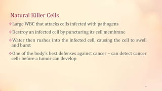 Natural Killer Cells
Large WBC that attacks cells infected with pathogens
Destroy an infected cell by puncturing its cell membrane
Water then rushes into the infected cell, causing the cell to swell
and burst
One of the body’s best defenses against cancer – can detect cancer
cells before a tumor can develop
16
 