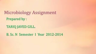 Microbiology Assignment
Prepared by :
TARIQ JAVED GILL.
B. Sc. N Semester I Year 2012-2014
 