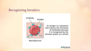 Recognizing Invaders
25
 